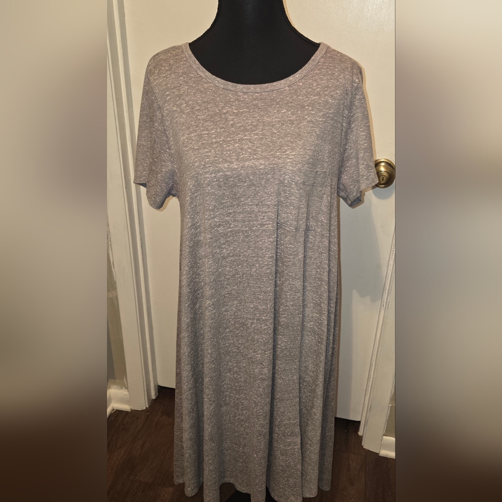 NWOT LuLaRoe Carly swing dress size Small
